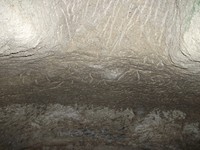 gale-20120725 129